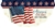 America 250 Vinyl Bunting by Custom Decor
