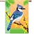 Blue Jay In Spring on this Premier Kites standard house flag.