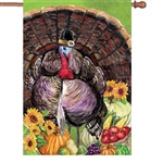 Turkey Pilgrim Premier Kites Halloween House Flag