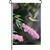 Summer Joy on this Premier Kites garden flag.