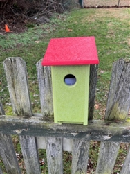 Lime Green Blue Bird House with an orange roof made of composite material.  Hand made by a craftsman in the USA.