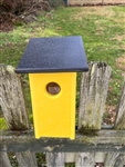 Yellow Blue Bird House with a black roof made of composite material.  Hand made by a craftsman in the USA.