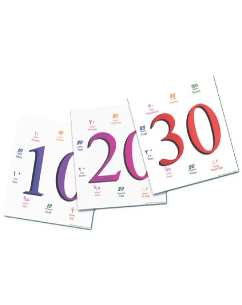 Number Cards 10-100-Multilingual Edition