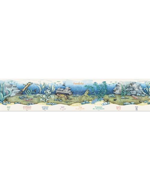 Pond Life Poster-Multilingual Edition, Multicultural Poster