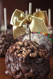 Cashew Covered Caramel-Chocolate Apple