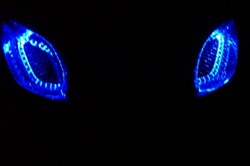 SPORTBIKE LITES SUZUKI GSXR 1000 03-04 LED INTAKE HALOS