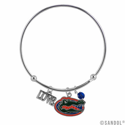 College Fashion Crystal University of Florida Logo Charm Tassel Beth Push Bangle Bracelet