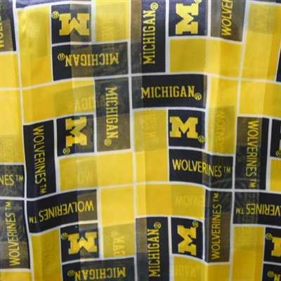 University of Michigan Wolverines