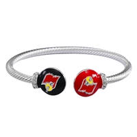University of Louisville Cardinals Logo Team Colored Round Ends Silver Bangle Bracelet