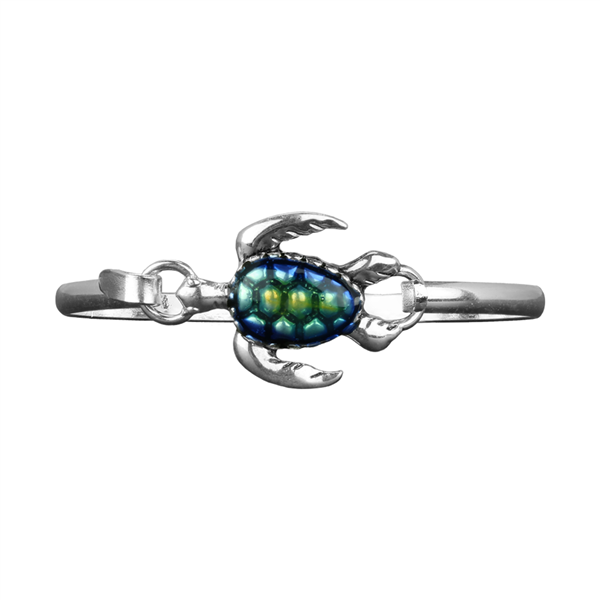 Iridescent & Silver Sea Turtle Charm Bangle Bracelet