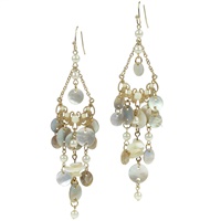 Stylish Decorative Cable Chain Colored Beads, Crystals, and Charms Gold-Tone Fish Hook Earrings