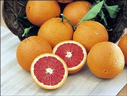 RED NAVEL ORANGEâ€“ Citrus sinensis â€˜Cara Caraâ€™ ZONE 9a