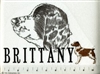 Brittany Spaniel Classic Embroidered Tee Shirt or Sweatshirt, Clothing for Dog and Cat Lovers at www.saltypaws.com