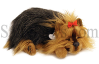 Yorkshire Terrier Perfect Petzzz SaltyPaws.com