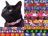Stretchy Band Lightweight Cat Collar SaltyPaws.com