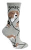 Beagle Novelty Socks SaltyPaws.com