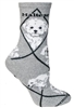 Maltese Puppy Cut Novelty Socks SaltyPaws.com