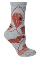 Dachshund Red Novelty Socks SaltyPaws.com