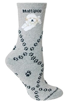 Maltipoo Novelty Socks SaltyPaws.com