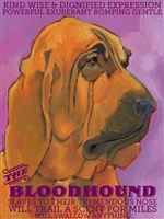 Bloodhound Artistic Fridge Magnet SaltyPaws.com