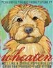 Wheaten Terrier Artistic Fridge Magnet SaltyPaws.com