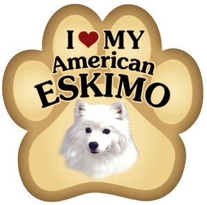 American Eskimo Paw Magnet for Car or Fridge