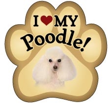Poodle Paw Magnet for Car or Fridge