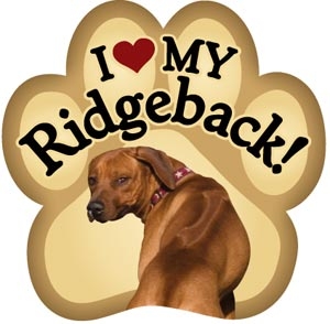 Rhodesian Ridgeback Paw Magnet for Car or Fridge
