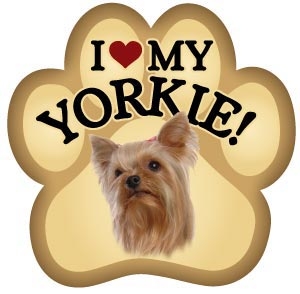 Yorkshire Terrier Paw Magnet for Car or Fridge