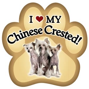Chinese Crested Paw Magnet for Car or Fridge