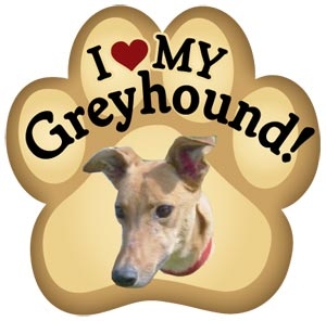 Greyhound Paw Magnet for Car or Fridge