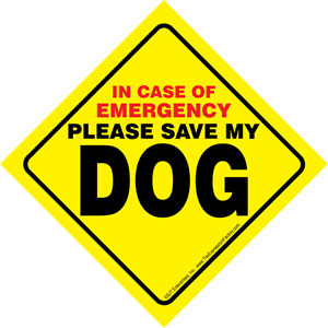 In Case of Emergency Please Save My "DOG"/"DOGS" Window Sign SaltyPaws.com