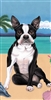 Boston Terrier Dog Beach Towel www.SaltyPaws.com