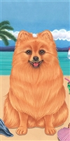 Pomeranian Dog Beach Towel www.SaltyPaws.com