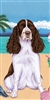 Springer Spaniel Dog Beach Towel www.SaltyPaws.com