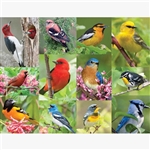 36 Piece Jigsaw Puzzles