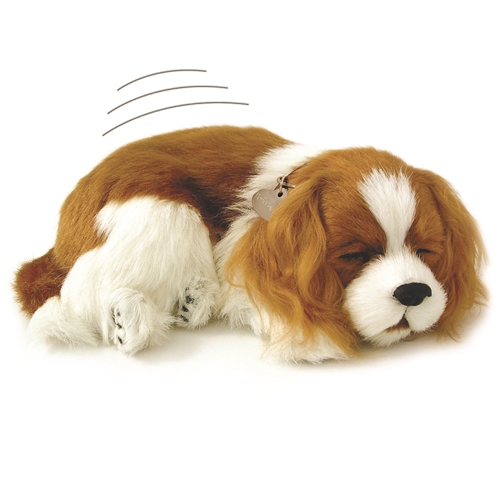 Perfect Petzzz therapy pets for Alzheimer's cavalier king charles