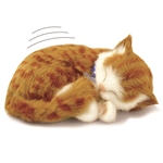 Perfect Petzzz therapy pets for Alzheimer's tabby cat kitten