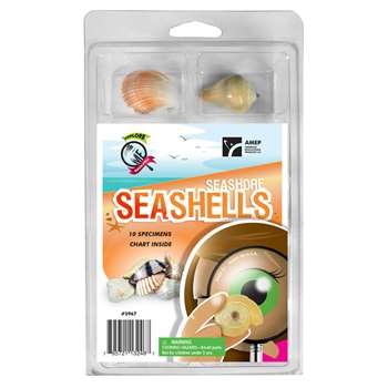 Explore With Me Seashore Seashells, AEP2967