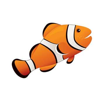 Magnetic Whiteboard Eraser Clown Fish 3-1/2 X 3-1/2 By Ashley Productions