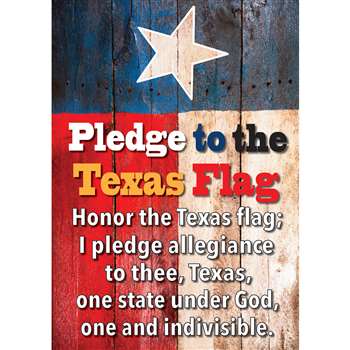 Magnetic Texas Pledge 8X11 Sheet, ASH77808