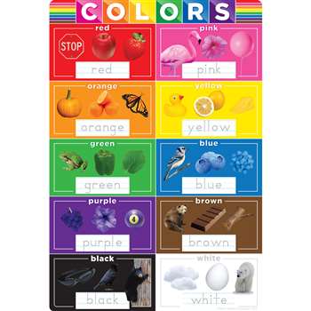 Colors 13Inx19&quot; Smart Poly Chart, ASH91080