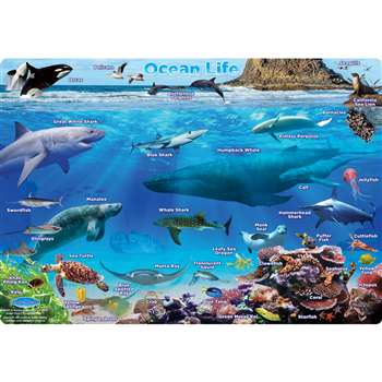 Ocean Life Postermt Pals Smart Poly Single Sided, ASH95201