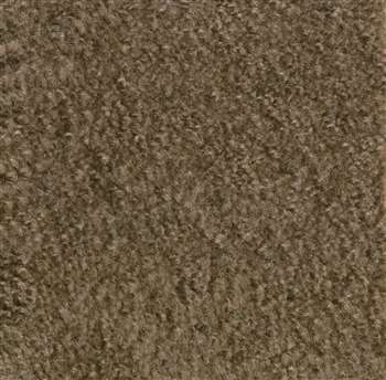 Mt. St. Helens - Mocha 4'x6' Rectangle Carpet, Rugs For Kids