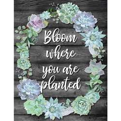 Bloom Where You Are Planted Chart Simply Stylish, CD-114259