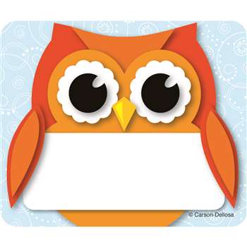 Colorful Owl Name Tags By Carson Dellosa