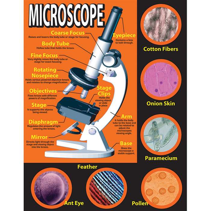 Basic Microscope Chartlet By Carson Dellosa