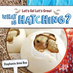 What Is Hatching, CD-9781731652218