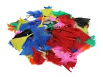 Turkey Feathers Bright Colors 14G Bag, CHL63035