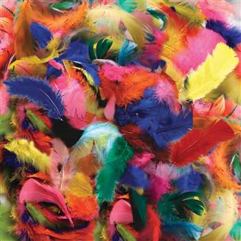 Feathers Hot Colors By Chenille Kraft